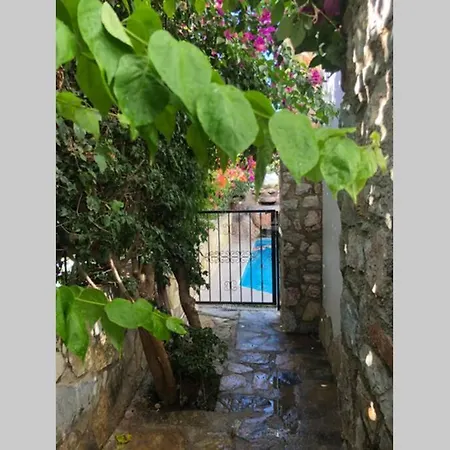 Βίλα Fully Detached, Scenic With Private Pool Αλικαρνασσός